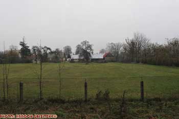 IMG_ (10166)